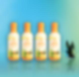 Квартет Алое-Манго Промо